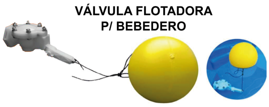 VÁLVULA FLOTADORA P/ BEBEDERO